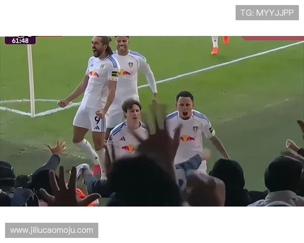 十人曼联冷负利兹中卫拽发染红 十人曼联冷负利兹中卫拽发染红